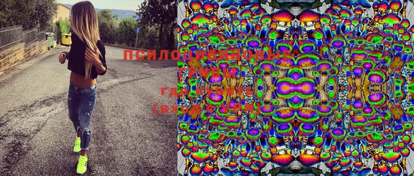 ПСИЛОЦИБИНОВЫЕ ГРИБЫ Инсар