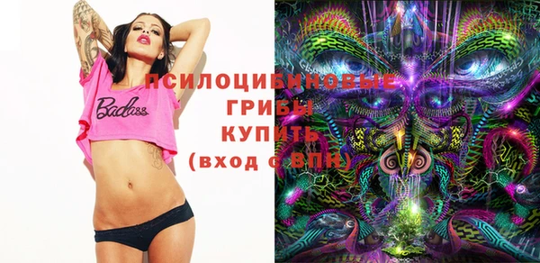 ПСИЛОЦИБИНОВЫЕ ГРИБЫ Инсар
