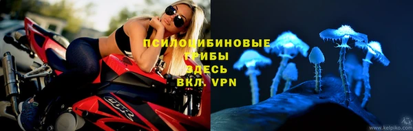 ПСИЛОЦИБИНОВЫЕ ГРИБЫ Инсар