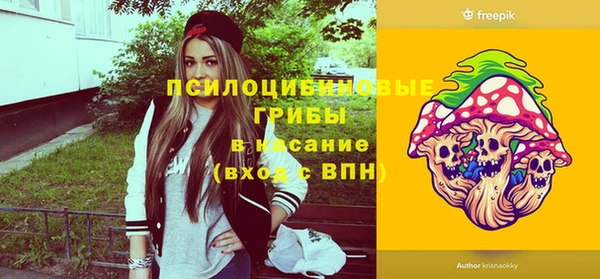 ПСИЛОЦИБИНОВЫЕ ГРИБЫ Инсар