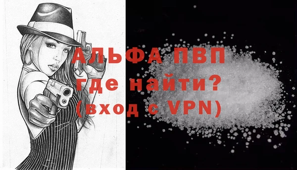 ПСИЛОЦИБИНОВЫЕ ГРИБЫ Инсар
