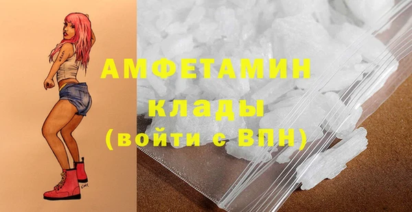ПСИЛОЦИБИНОВЫЕ ГРИБЫ Инсар