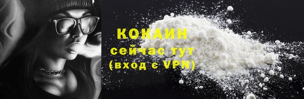 ПСИЛОЦИБИНОВЫЕ ГРИБЫ Инсар