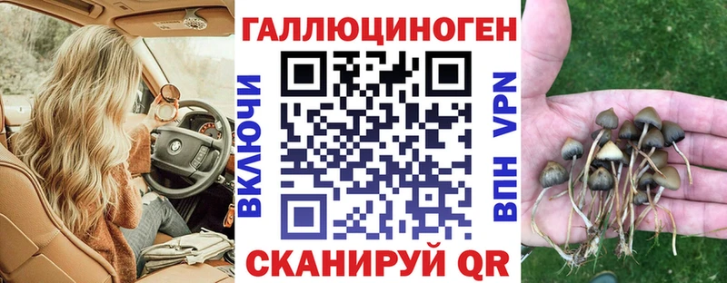 Купить закладки  Ханты-Мансийск  Псилоцибиновые грибы Magic Shrooms 